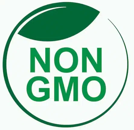 non gmo symbol no genetically modified organism vector 883533 858.jpg e1730918347425